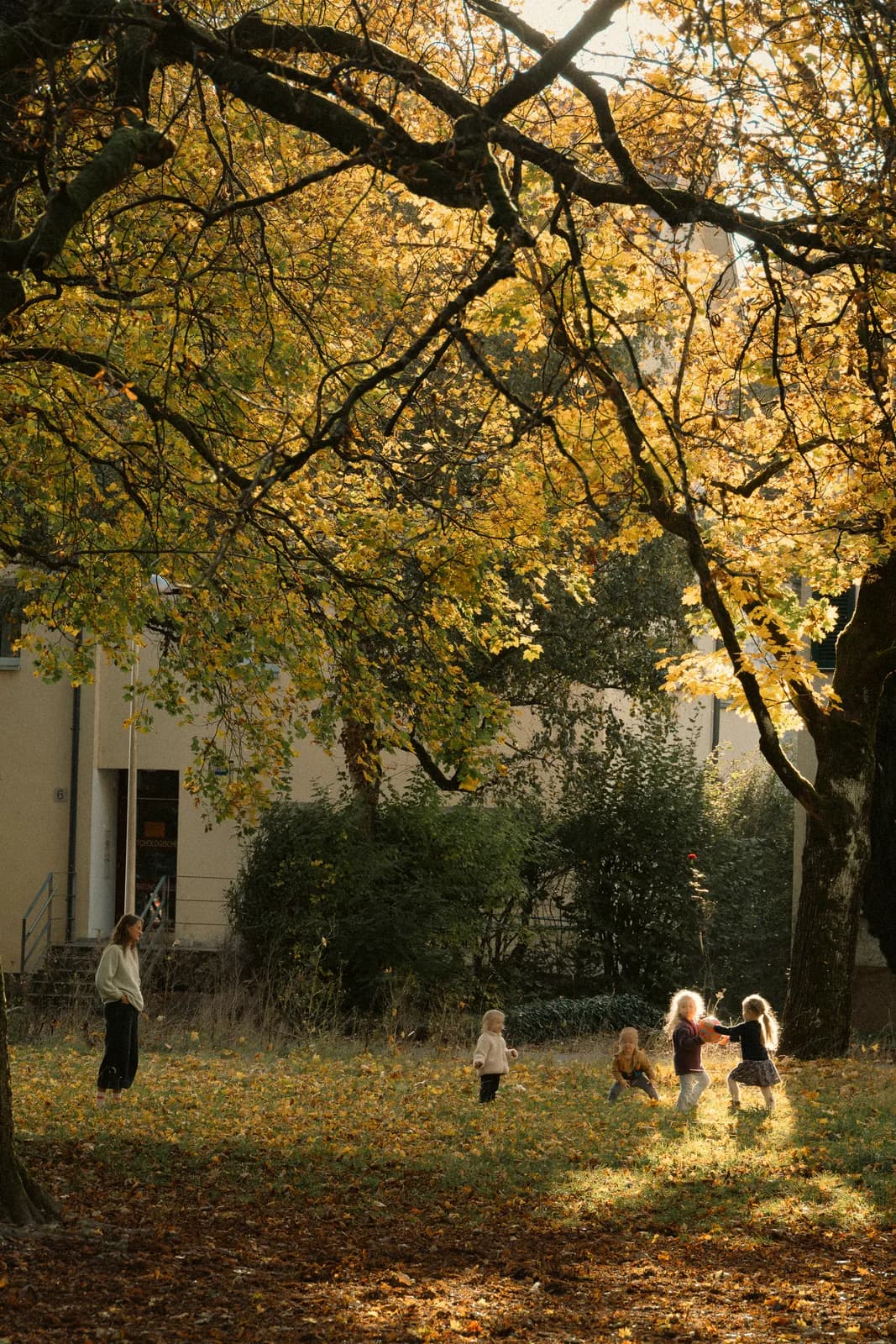 A Little Autumn Tale