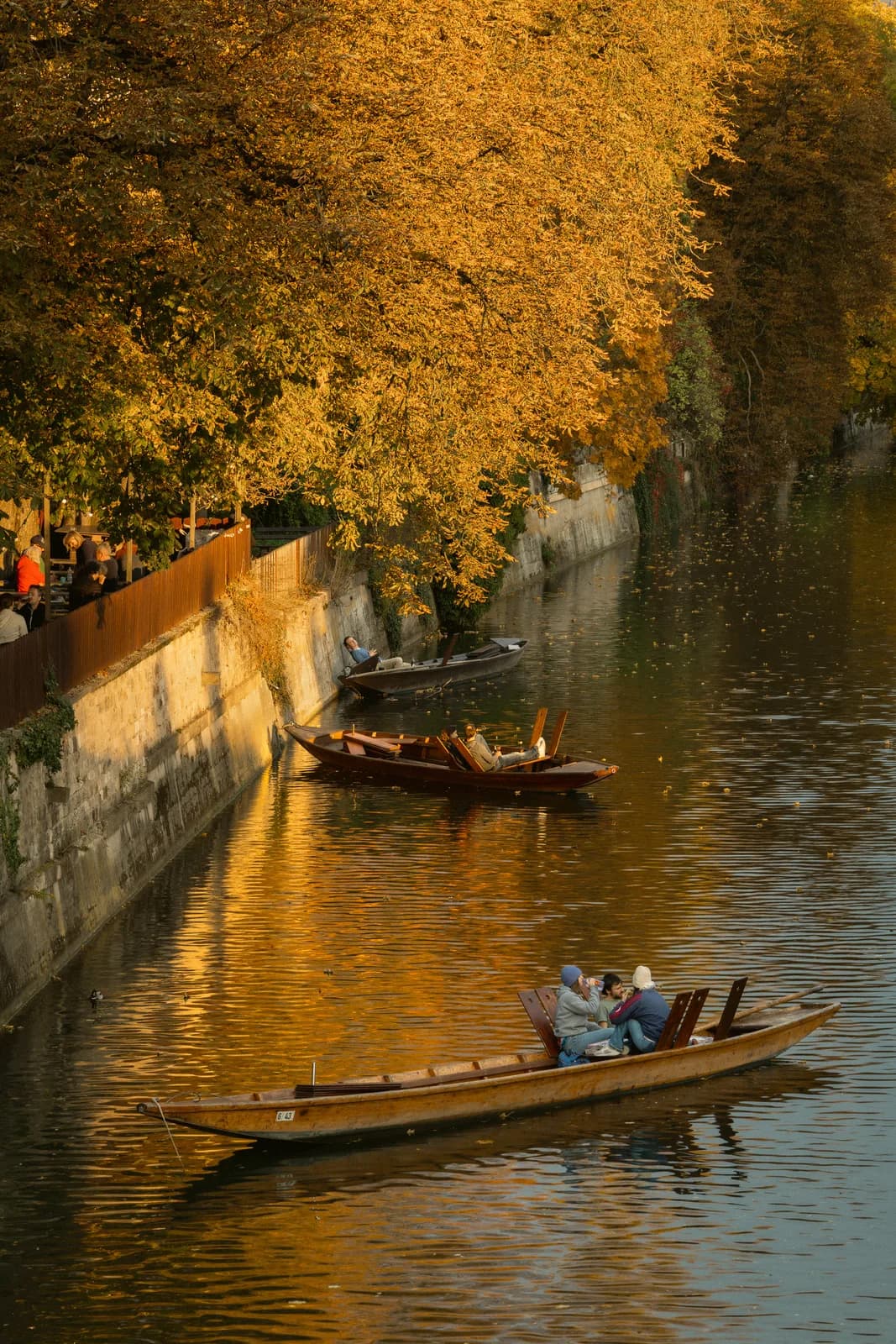 Golden light on the Neckar river.