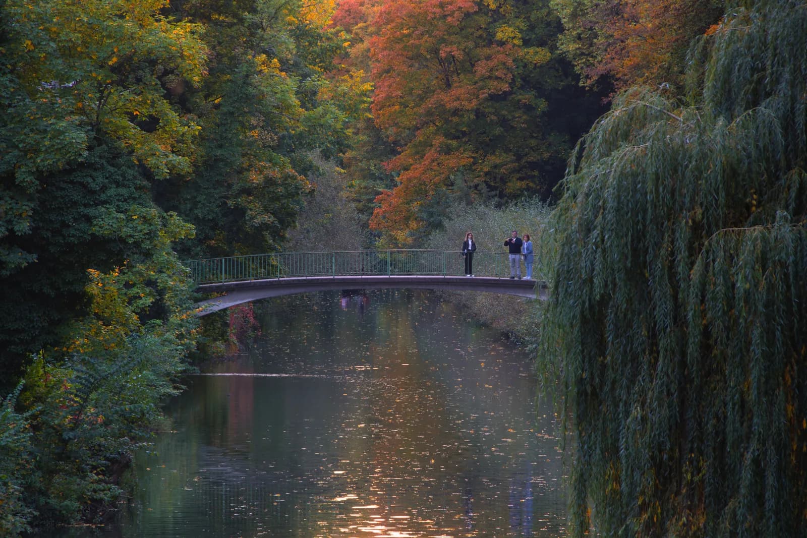 Neckar river perspective with golden light and silhouetted trees.